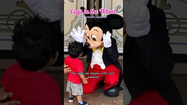 Cogs in the Disney Wheel