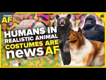 Humans in Realistic Animal Costumes are News AF - August 1, 2023