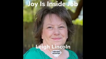 Joy Is An Inside Job Leigh Lincoln