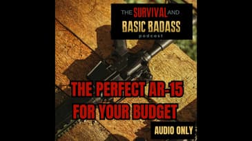 The Perfect AR-15 For Your Budget
