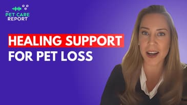Navigating Dog Loss and Grief Support for Owners
