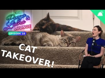 We're Costco Guys... | The Pooya and Liana Lounge