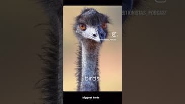 New episode!! #artpodcast #painting