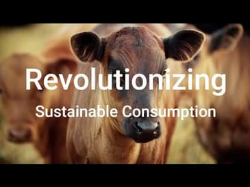 Revolutionizing Sustainable Consumption: A Deep Dive with Vikas Garg of abillion.com
