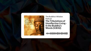 The Tribulations of Unreflective Living - In the Buddha’s Words (S3E02) | The Buddha’s Wisdom...
