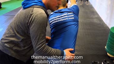 TRX Assisted Trunk and Hip Mobility