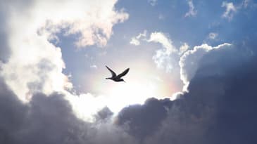 The Power of the Holy Spirit