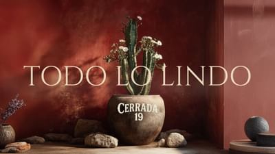 Cerrada 19 - Todo Lo Lindo (Visualizer)
