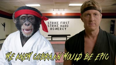 We Knew Cobra Kai would be EPIC!
