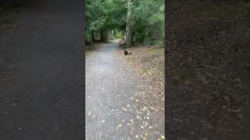 Han vill sällan prata religion.