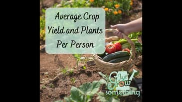 Ep. 132 - Average Crop Yield and Plants Per Person: How Much Space Do You Need in the Garden?