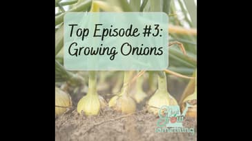 Top Episode 3: Growing Onions - Ep. 175