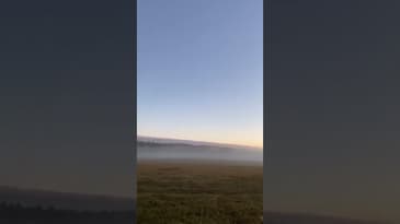 En dåre möter dagen…