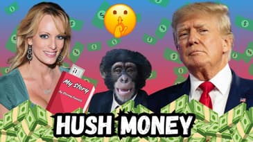 Trump NY Hush Money Case Abridged #trump #2024election #politics