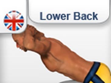 Exercises Lower back  muscles - extension Lumbar Muscle (female/male)