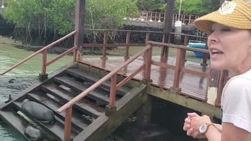 What Does A Day With Bad Weather Look Like!? Galápagos Islands with Globe Aware