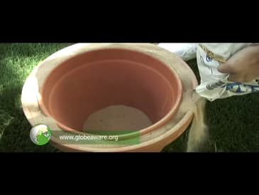 GLOBAL WINGS- EXPANDING MINDS