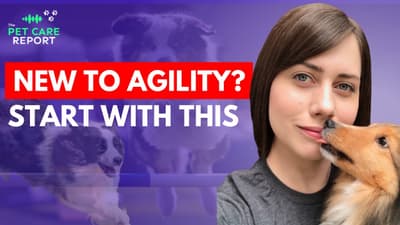 Agility Training Secrets That Improve Obedience in Every Dog