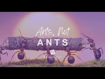 #motivation Ants, Not ANTs #motivational #inspiration #bible