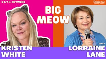 244: Strategies for Building a Business Profile & Identifying Your Target Market with Lorraine Lane