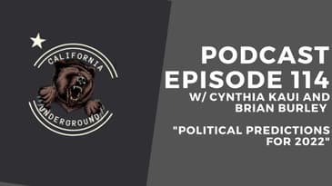 Episode 114 - Political Predictions for 2022