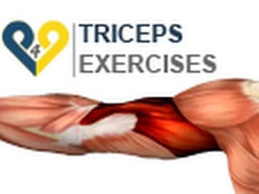 Triceps Exercises : dips 2 benches