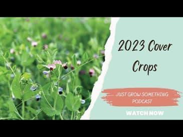 2023 Cover Crops for the Garden