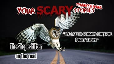 I saw a Shapeshifter on Thanksgiving