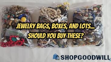 The Truth About Buying Jewelry Lots on ShopGoodwill.com
