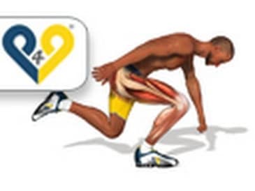 Spartan Bow from "Spartan Series" (300 workout)