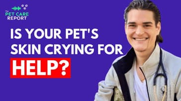 Holistic Dog Allergy Treatments [Dr. Zac Pilossoph]