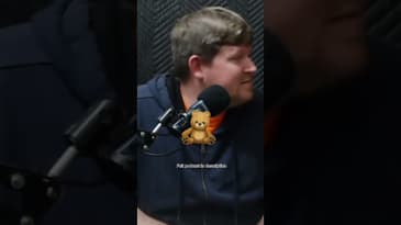 Did you know this about Teddy Bears?