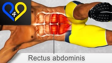 "4 Time Ab" the best exercise for lower abs