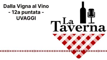 Dalla Vigna al Vino - 12a puntata - UVAGGI | La Taverna Friuli Wine
