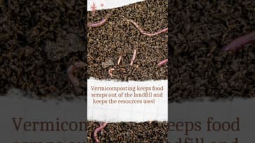 Why Vermicompost?