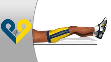 Lower Abs Exercise - Alternating Beat ( SIX PACK ABS )