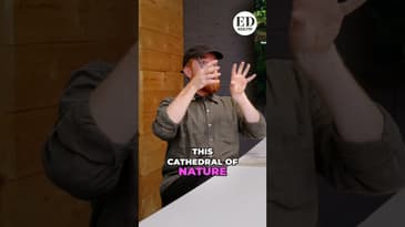 Inside the Microscopic Cathedral: Leaf Cells Revealed! #shorts