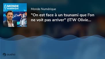 "On est face à un tsunami que l'on ne voit pas arriver" (ITW Olivier Babeau, économiste)