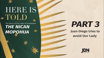 Part 3:  88-142 | Juan Diego tries to avoid Our Lady | The Nican Mopohua