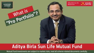 What is a “Pro Portfolio”?