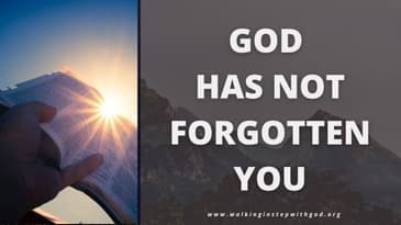 God Has Not Forgotten You