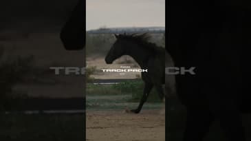 Ford Mustang Dark Horse SC 🔥 Supercharged Coyote Power!