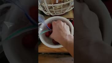 Easy Peasy Tomato Preserving