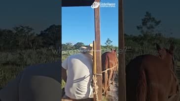 Why Globe Aware!? Stunning Destinations For Spring Break