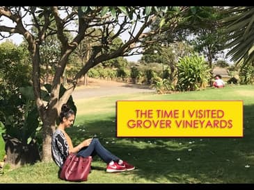 The Time I Went To Grover Vineyards | What When Wear Vlog