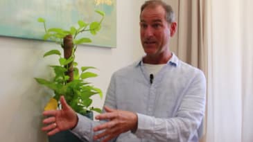 Part 1 The difference between mental health and inner well being