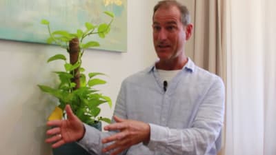 Part 1 The difference between mental health and inner well being