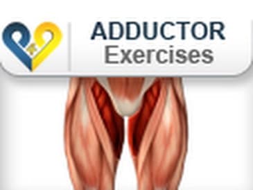Adductor exercises : Pushes on swiss ball for inner thighs