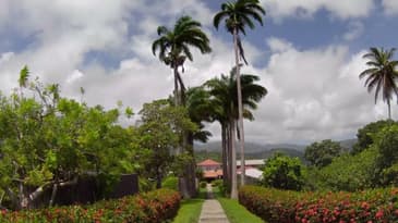 A Walk To Mount Saint Ervans Retreat In Grenada. Filmed In 4k.
