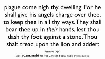 Psalm 91 - Christian Scripture Video - Bible Verse Memorization - KJV - God's Protection For You